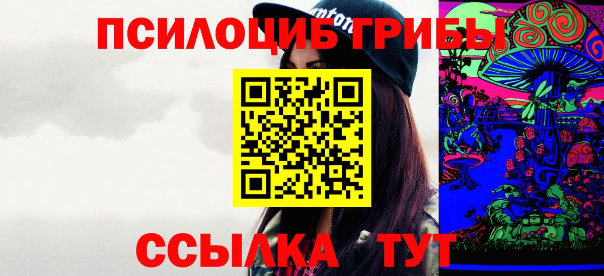 Галлюциногенные грибы Psilocybine cubensis Бахчисарай