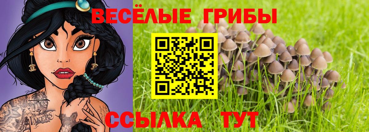 Бахчисарай  наркошоп  Вход с VPN  Галлюциногенные грибы MAGIC MUSHROOMS 